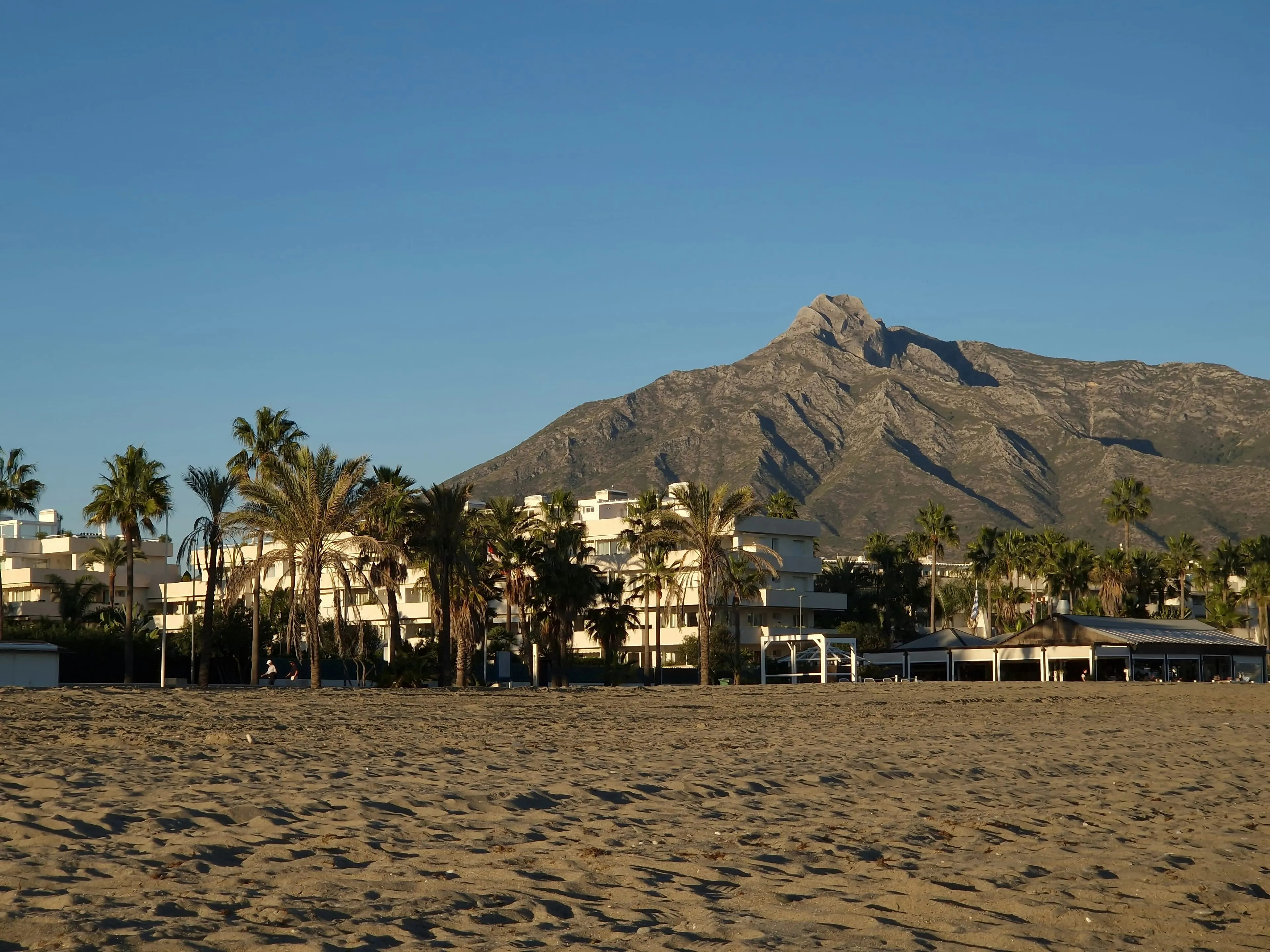 Wide sandy Golden Mile beach with a palm-lined frontline and La Concha behind, in golden evening light